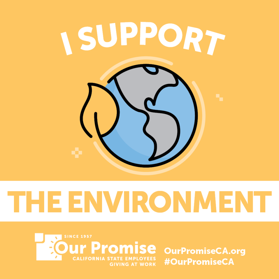 I Support: THE ENVIRONMENT. icon globe.