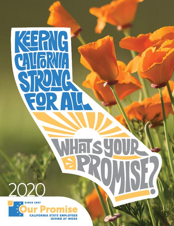 2020 Our Promise Poster